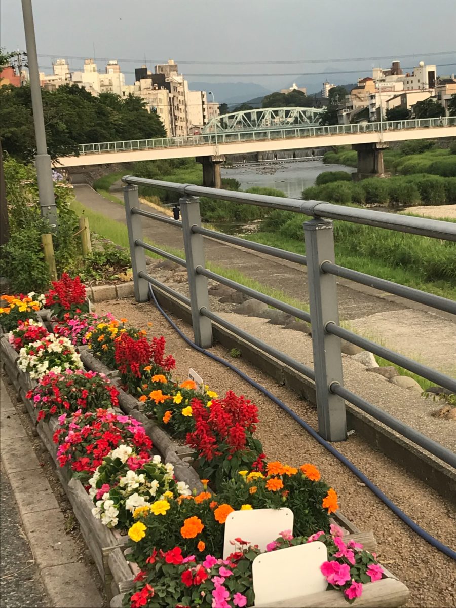 犀川河川敷にて花の苗植えボランティアを行います