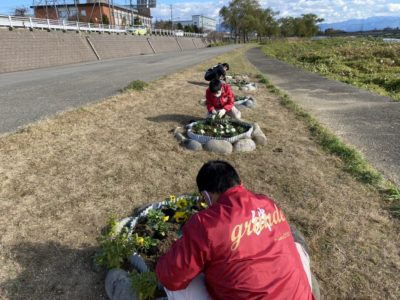金沢市犀川河川敷の花苗植えボランティア活動を実施しました